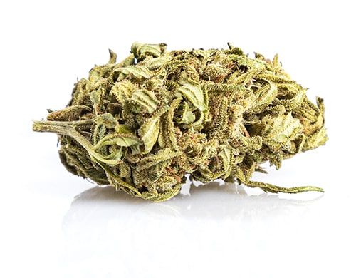 CBD Flower of Mango Haze quality
