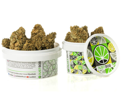 High-quality CBD flower buds in a sealed white container for freshness
