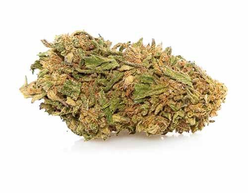 Bud of Lemon Cheese CBD weed