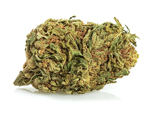 Bud of Lemon Cheese CBD weed