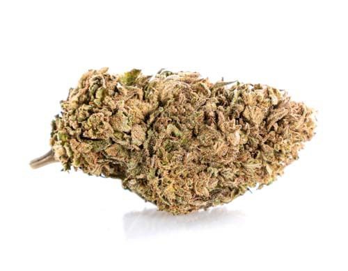 Bud of Lemon Cheese CBD weed