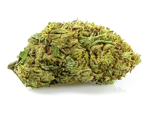 Orange Bud CBD flower of legal cannabis