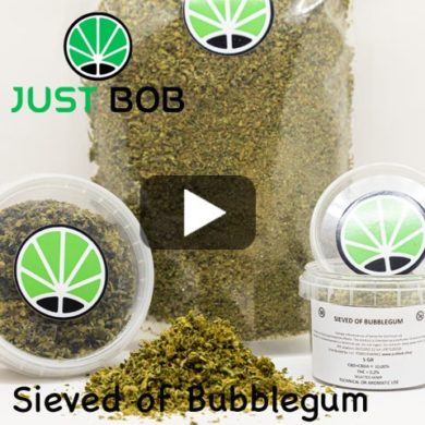 Sieved-Bubblegum
