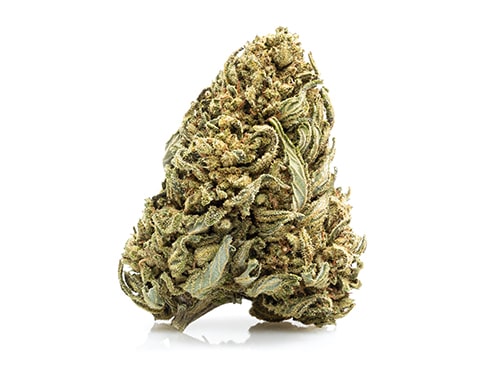 White Widow CBD Flower