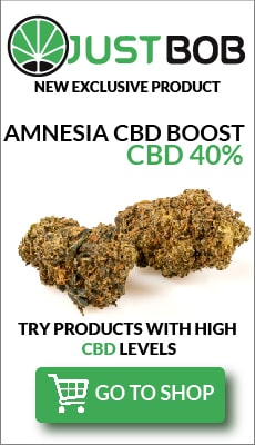 amnesia cbd buds boost