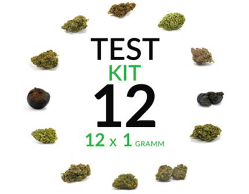 cannabis kit test 12 grams cbd flower cannabis kit test 12 grams cbd flower