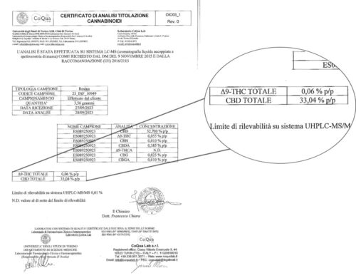 charas analysis cbd hash
