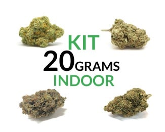 kit 20 indoor - SHOP-min Kit 20 grams Indoor Justbob.shop