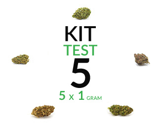 kit-test-marijuana-cbd-flower-5-grams kit-test-marijuana-cbd-flower-5-grams