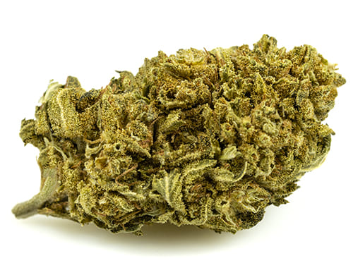 lemon-cheese-small-cbd-buds