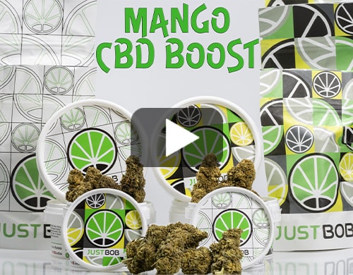 marihuana-sin-thc-Mango-cbd-boost