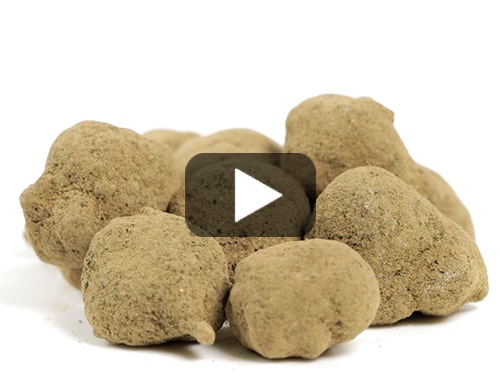 moonrock-cbd-weeds