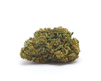 orange-bud-orange-weed-cbd-flower orange-bud-orange-weed-cbd-flower