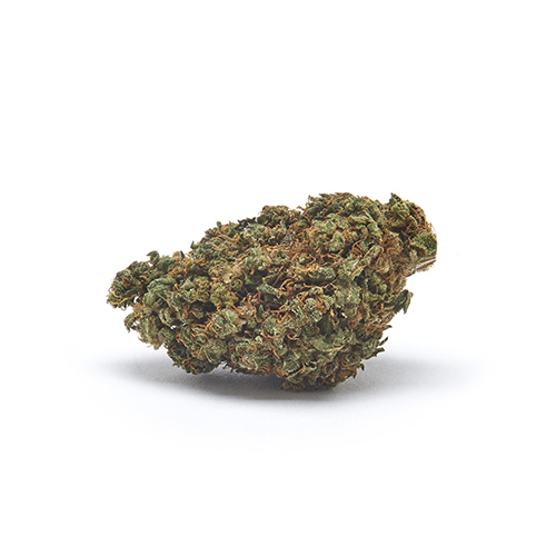 pineapple-cbd-plant-cbd-flower-uk-cannabis-lights pineapple-cbd-flower