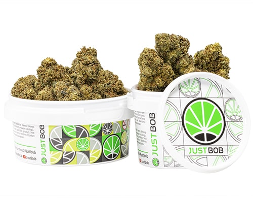 tin-with-flowers-of-mango-cbd-boost-cannabis