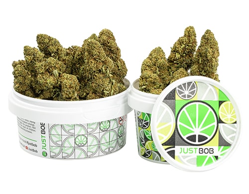 tin-with-flowers-of-orange-cbd-boost-cannabis