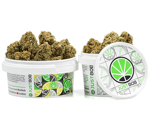 tin-with-flowers-of-white-widow-cannabis