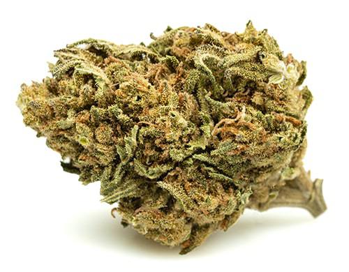 white-widow-small-cbd-buds