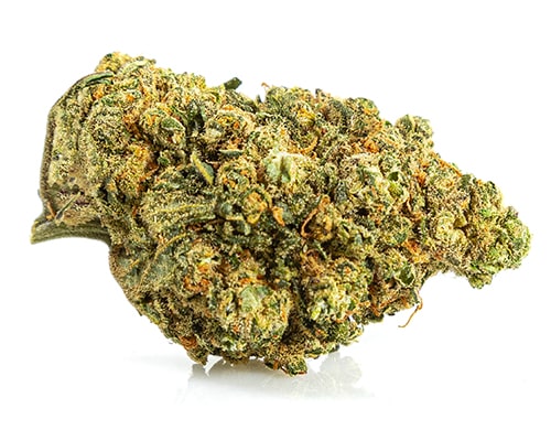 Bubblegum CBD Flower