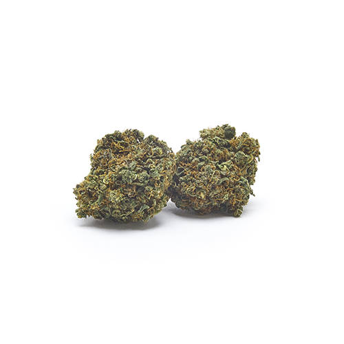 amnesia-haze-cbd-flower-cbd-uk amnesia-haze-cbd-flower-cbd-uk