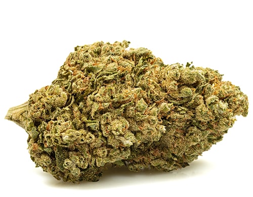 bubblegum-cbd-buds