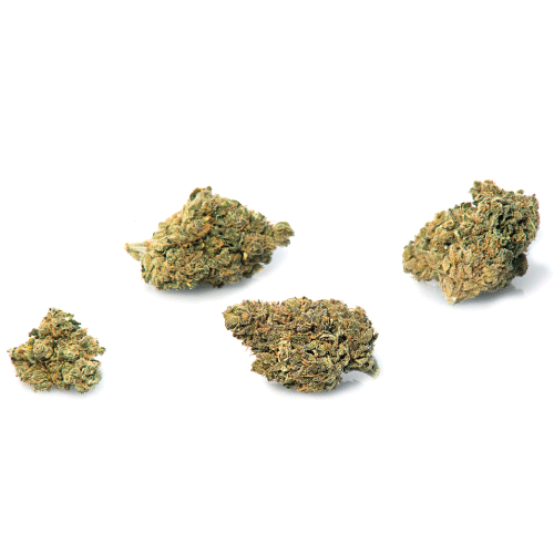 bubblegum-weed-cannabis-flowers-cbd bubblegum-weed-cannabis-flowers-cbd