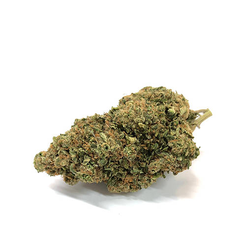 bubblegum-weed-cbd-flower-cbd-plant bubblegum-haze-kush-weed-cbd-flower
