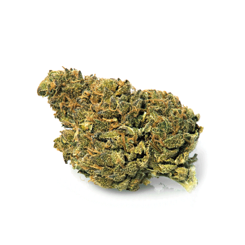 bubblegum-weed-cbd-flowers-weed-shop-uk bubblegum-weed-cbd-flowers-weed-shop-uk