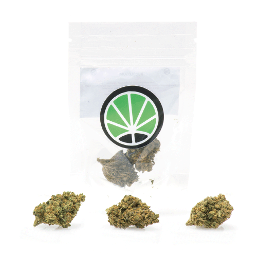bubblegum-weed-cbd-marijuana bubblegum-weed-cbd-marijuana