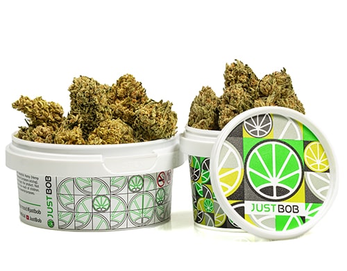 tin-with-flowers-of-bubblegum-cannabis
