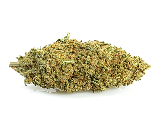 CBD Weed of Melon Kush