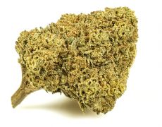 MELON KUSH-small-cbd-buds