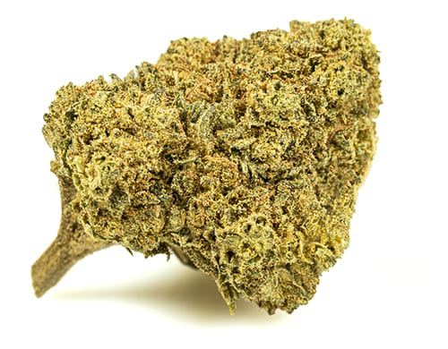 MELON KUSH-small-cbd-buds