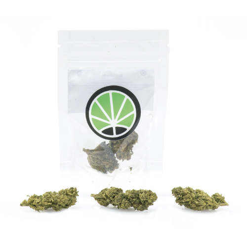 melon-kush-weed-marijuana-shop melon-kush-weed-marijuana-shop