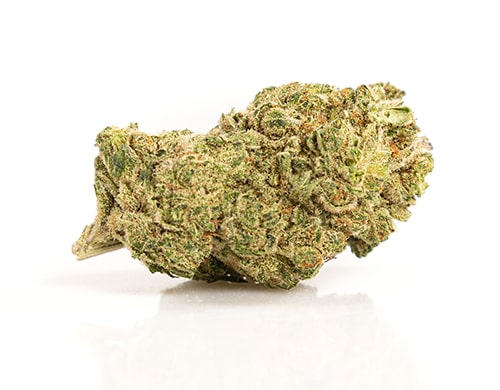 CBD Weed of Melon Kush