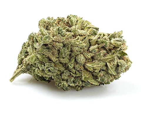 CBD Weed of Gorilla Glue