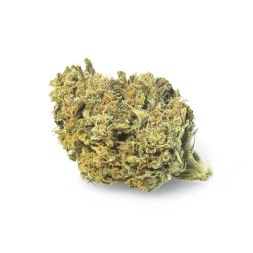 gorilla-glue-cbd-flowers gorilla-glue-cbd-flowers