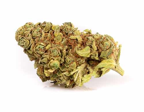 Gorilla Glue Weed CBD