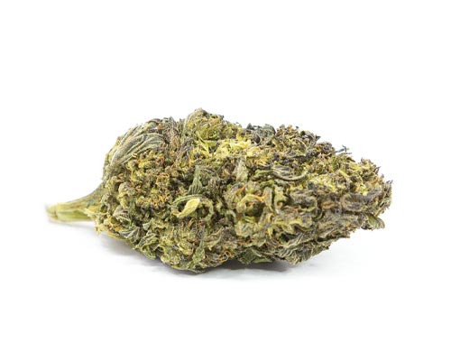 Purple Haze CBD Flower