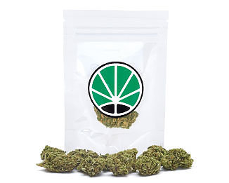 purple-haze-weed-cbd-flower-uk-purple-haze-seeds-purple-haze-bud purple-haze-weed-cbd-flower-uk-purple-haze-seeds-purple-haze-bud