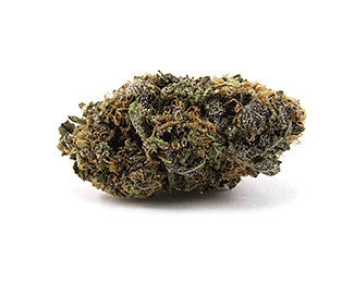 purple-haze-weed-purple-marijuana purple-haze-weed-purple-marijuana