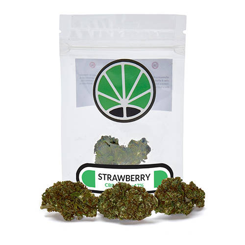 strawberry-plant-cbd- strawberry-plant-cbd