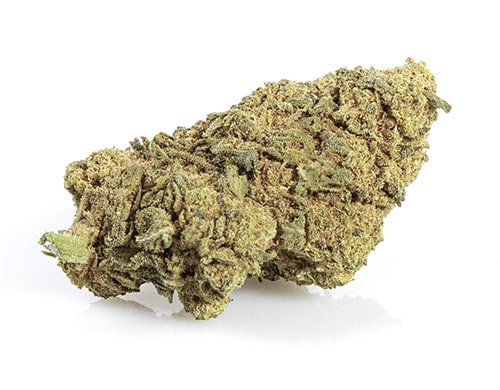 CBD Weed of master kush quality