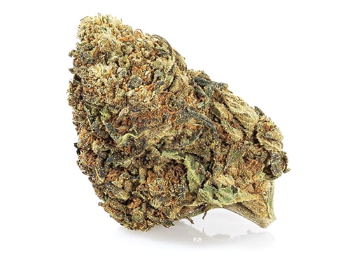 CBD Weed of master kush quality