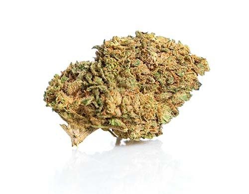 CBD Buds of master kush