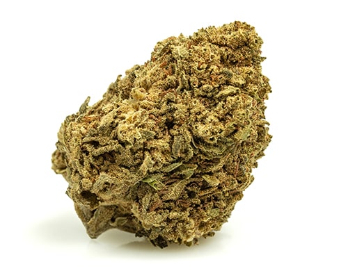 MASTER KUSH-small-cbd-buds