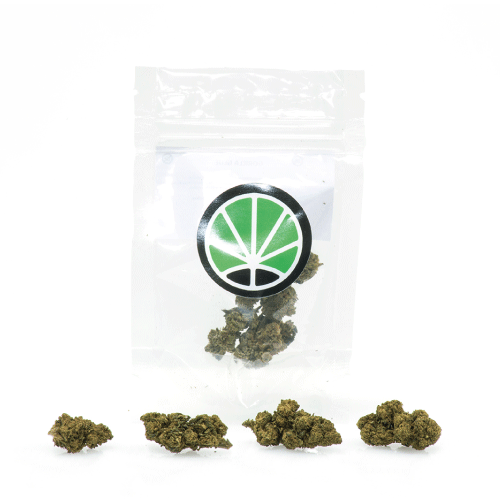 master-kush-marijuana-flowers-cbd master-kush-marijuana-flowers-cbd