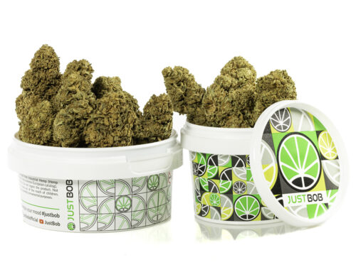 CALIFORNIA HAZE cbd weed in a white container