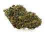2538 Close-up of an Sweet Berry cbd bud with prominent trichomes and natural texture