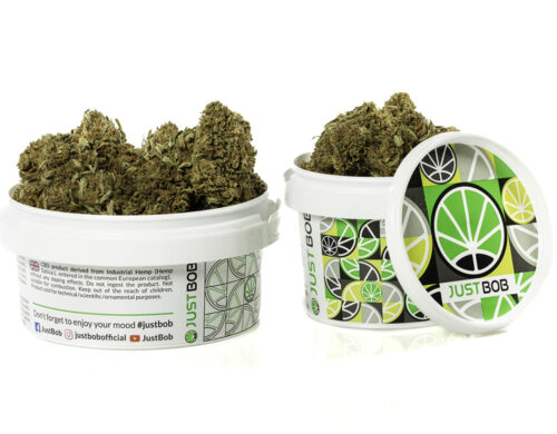 Sweet Berry cbd weed in a white container